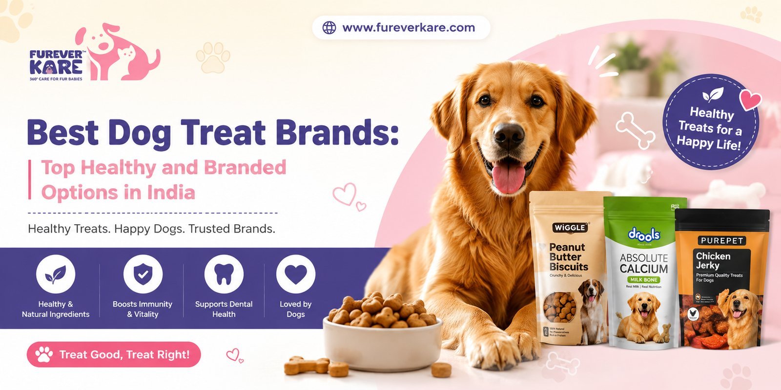 Close-up of high-quality dog food ingredients in a clean stainless steel bowl.