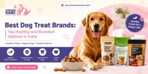 A healthy dog waiting for its premium meal in a modern kitchen setting.