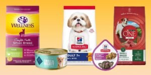 A golden retriever sits by a bowl of high-quality dog food in a kitchen.