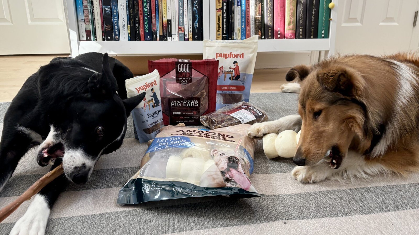 Two bags of dog food designed for different life stages are displayed.