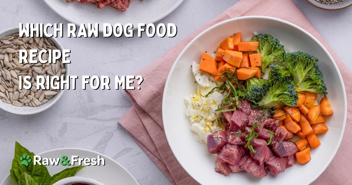 A person examining the ingredient label on a bag of high-quality dog food.