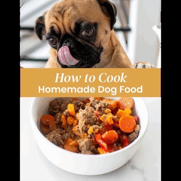 A veterinarian discusses healthy dog food options with a pet owner.