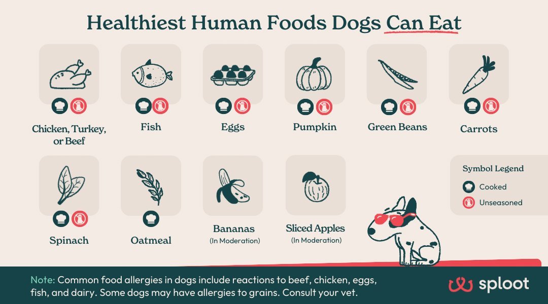Reading the ingredient label on a bag of healthy dog food.