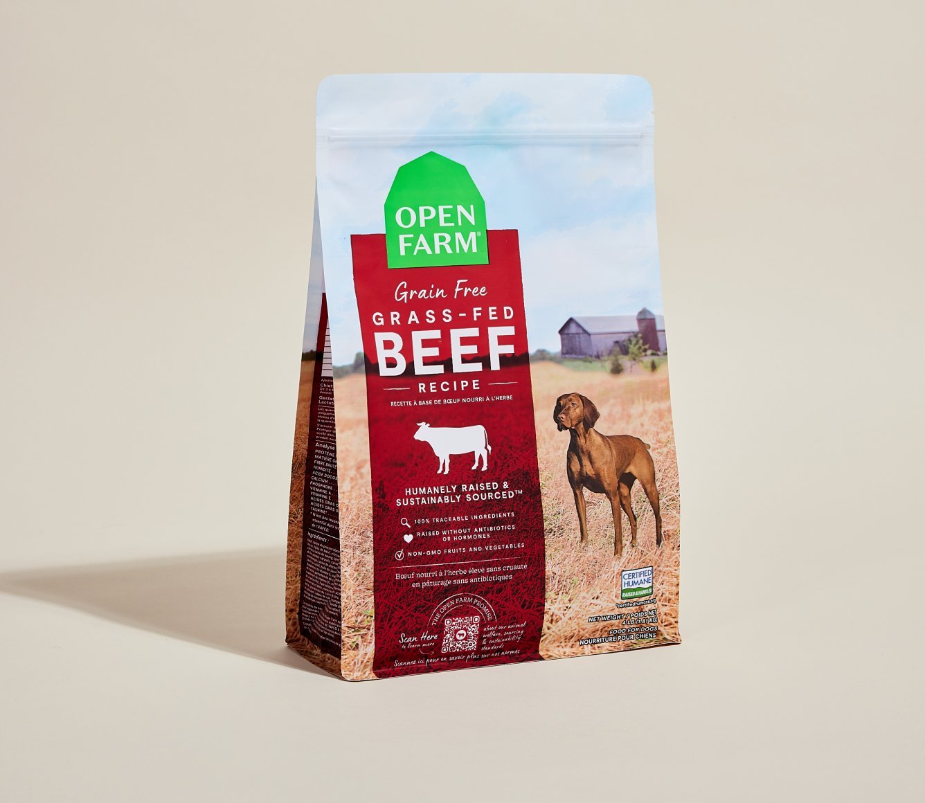 Mixing warm water and wet food into kibble to improve a dog's meal.