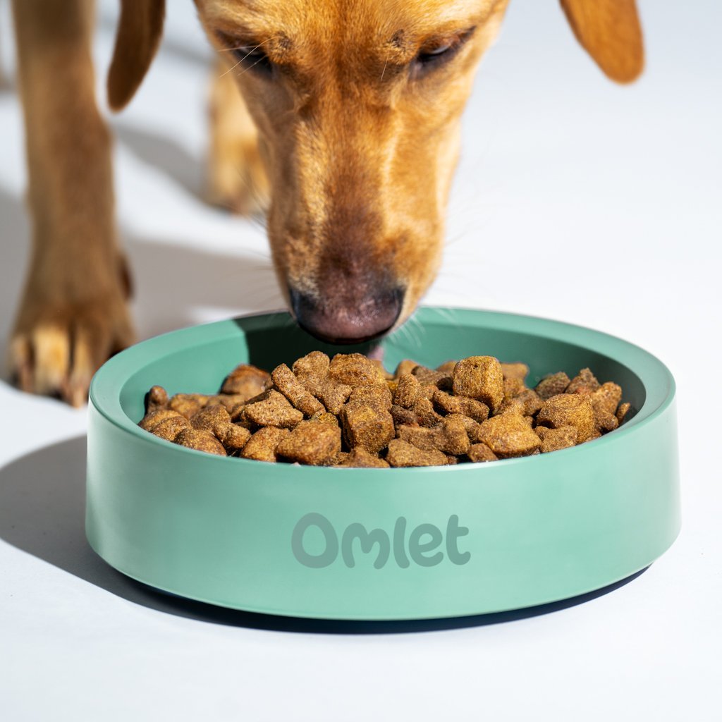 A person reading the ingredient label on a bag of dog food.