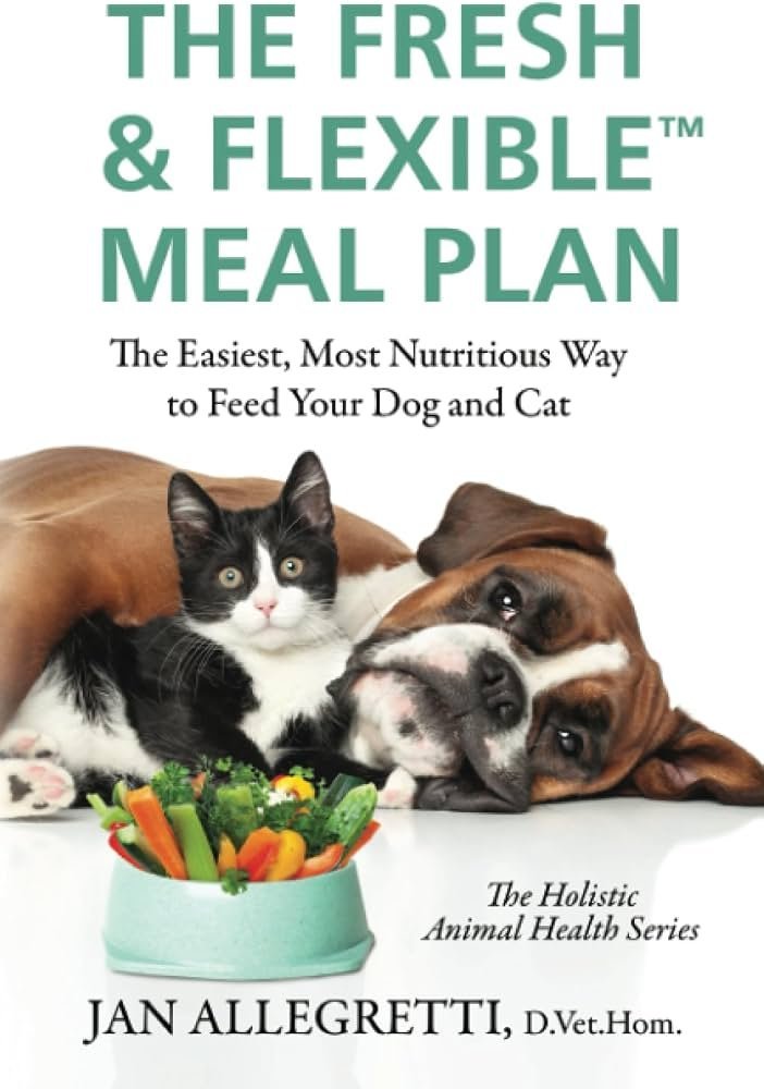 A workspace with tools and information for learning about nutritious dog food.