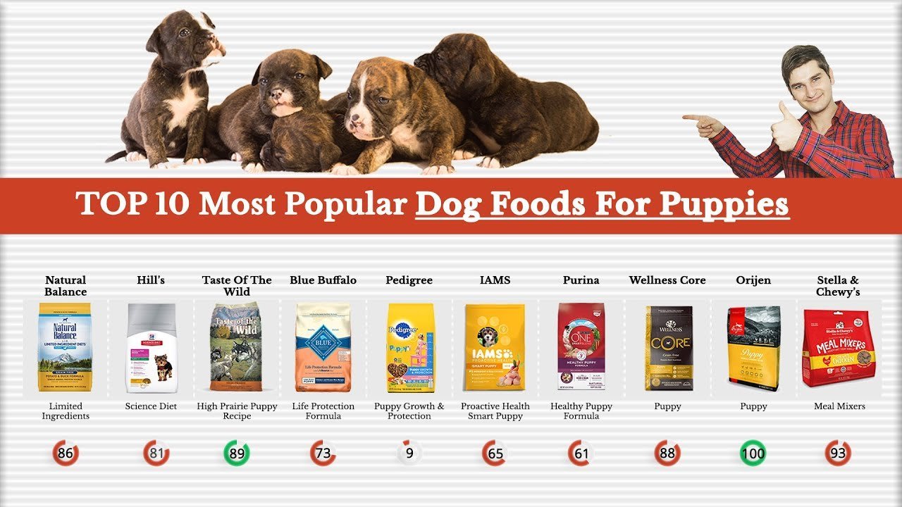 Checking the nutritional label on a bag of high-quality dog food.