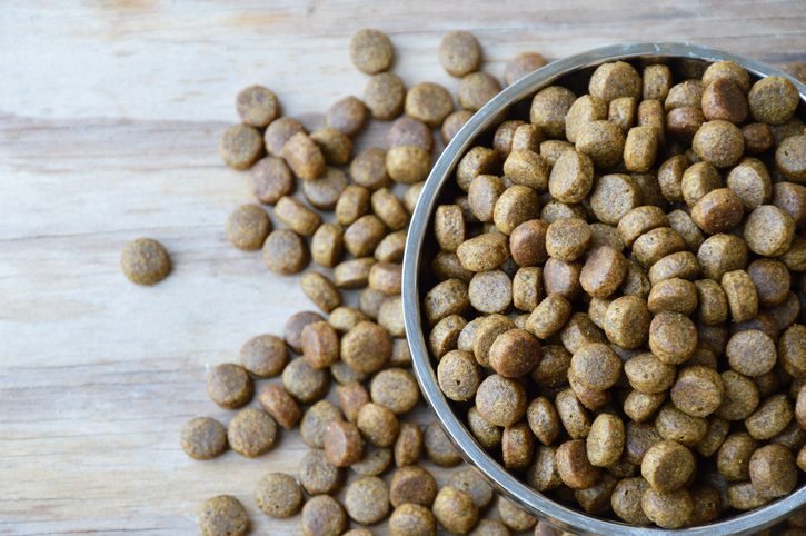 Different types of dog food bowls tailored to specific dietary needs.