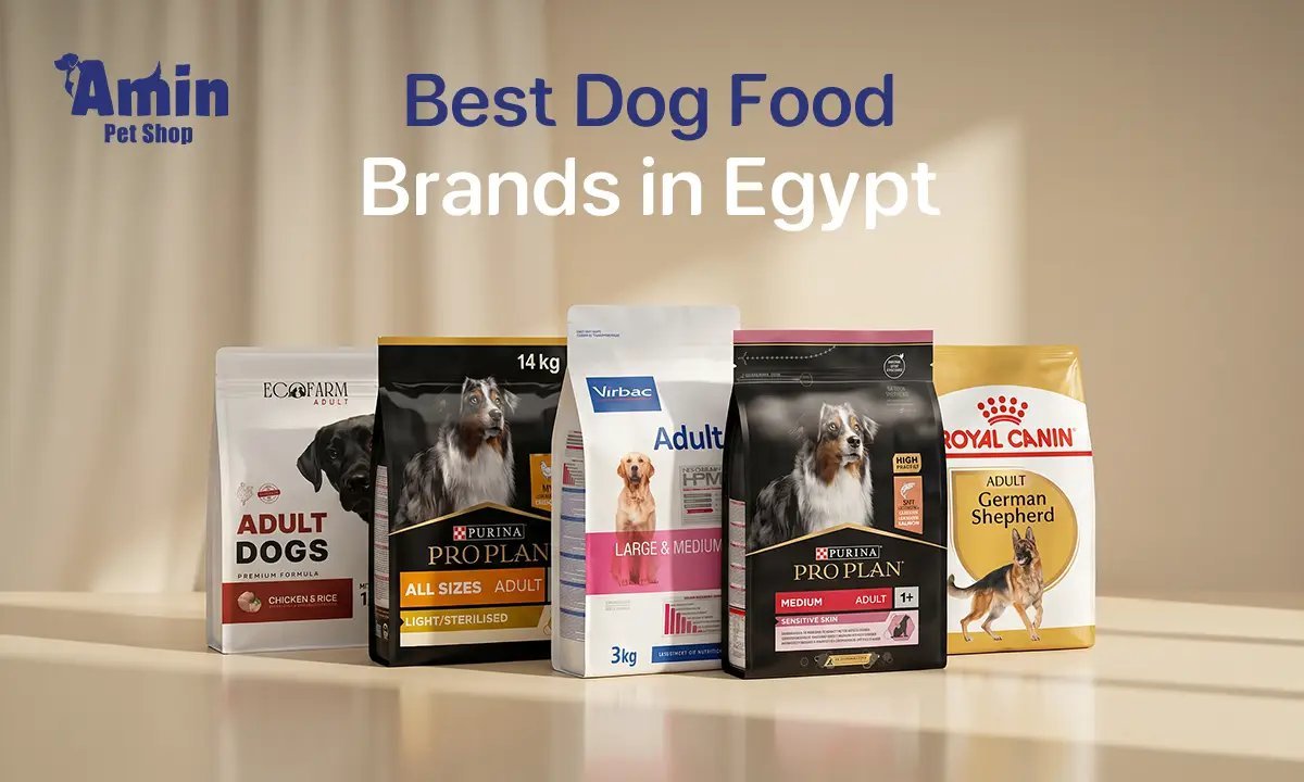 Different types of dog food tailored for various life stages and needs.