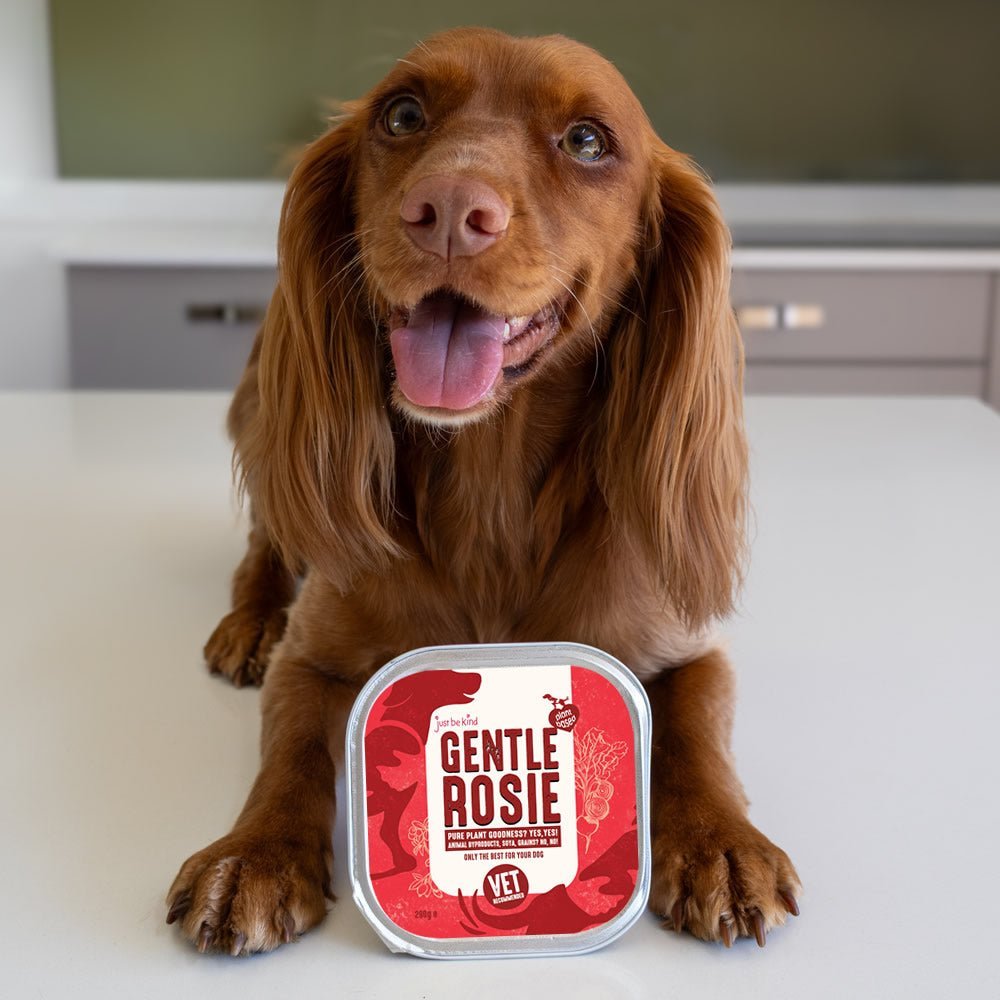 A satisfied dog licking its clean bowl after enjoying a tasty meal.