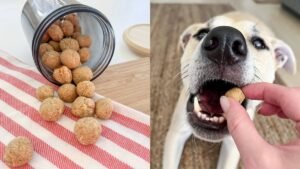 A happy dog waiting to eat a delicious bowl of nutritious dog food.
