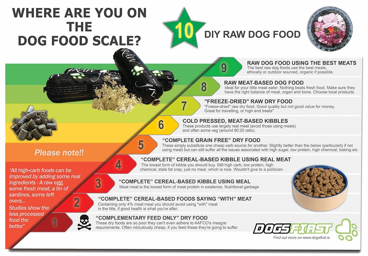 Two dog bowls containing different food types for puppy and senior life stages.