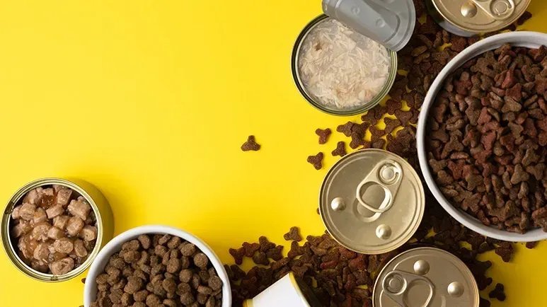 Close-up of a person checking the high-quality protein ingredient list on dog food.