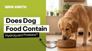 A healthy dog sits beside a bowl of nutritious dog food with fresh ingredients.