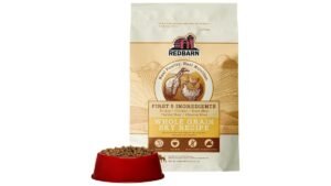 A bowl of high-quality dog food surrounded by fresh ingredients like chicken and vegetables.