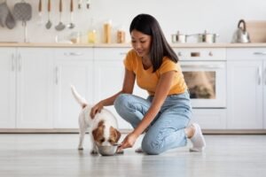 A healthy dog sitting near a bowl of nutritious food in a kitchen.