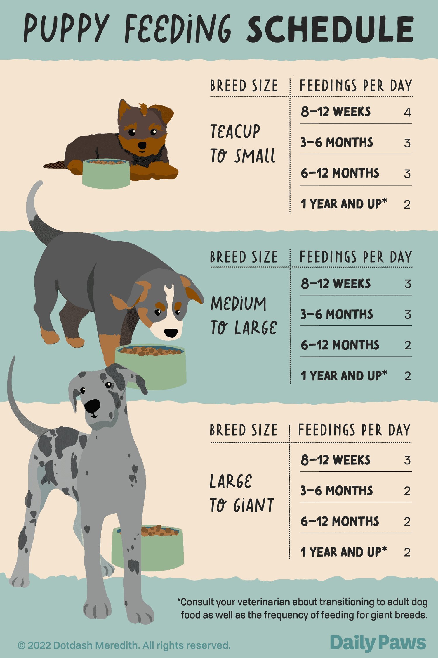 Measuring cup and healthy vegetable treats for managing a dog weight.