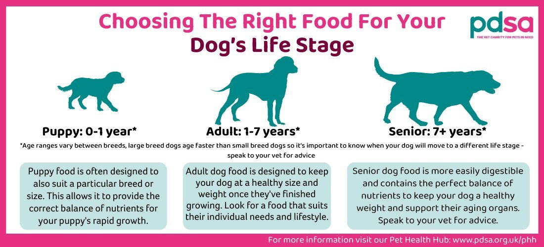 Close up of a dog food bag label showing high quality ingredients.