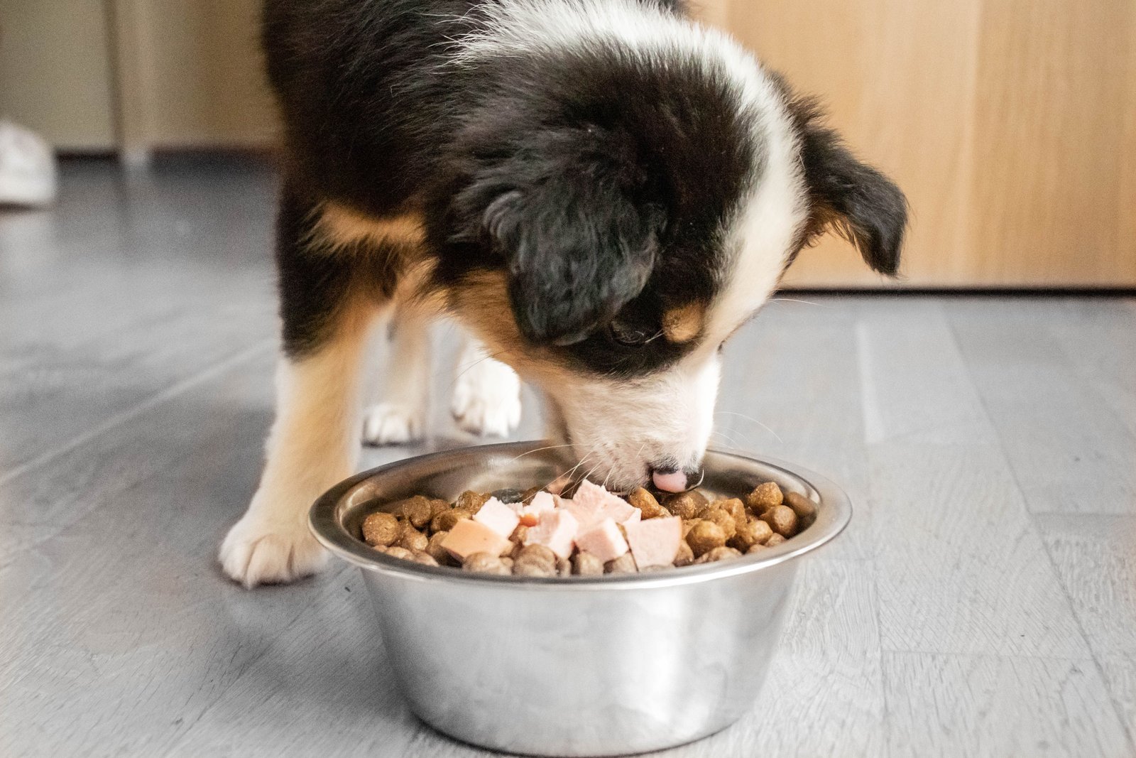 Fresh raw meat and bone ingredients prepared for a dog's raw diet.