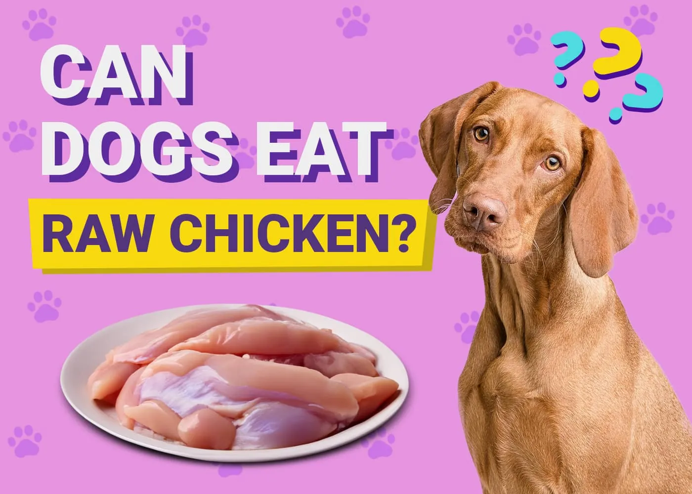 Assorted safe dog foods including chicken, vegetables, and berries on plate