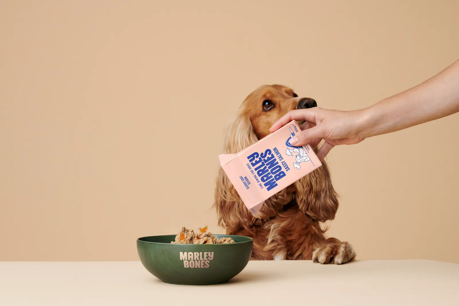 Avoiding common mistakes like human table scraps for proper dog nutrition.