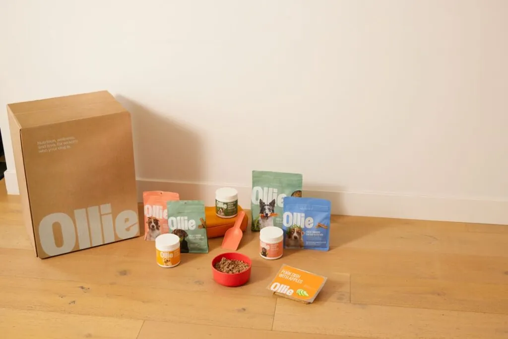 Bags of dog food arranged on a wooden table next to a waiting dog.