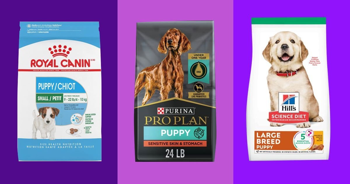 Bags of healthy dog food brands arranged on a bright kitchen counter.