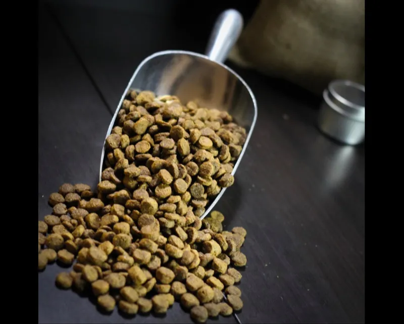 Budget dog food bags displayed on retail shelf
