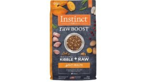 Dog bowl with kibble and probiotics on white kitchen counter