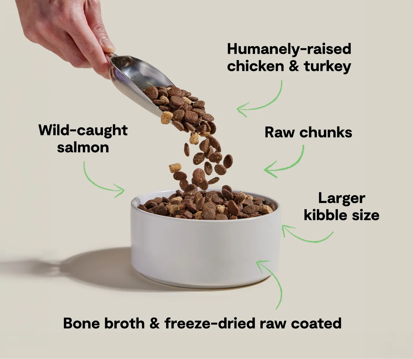 Dog chewing large kibble piece deliberately from ceramic bowl