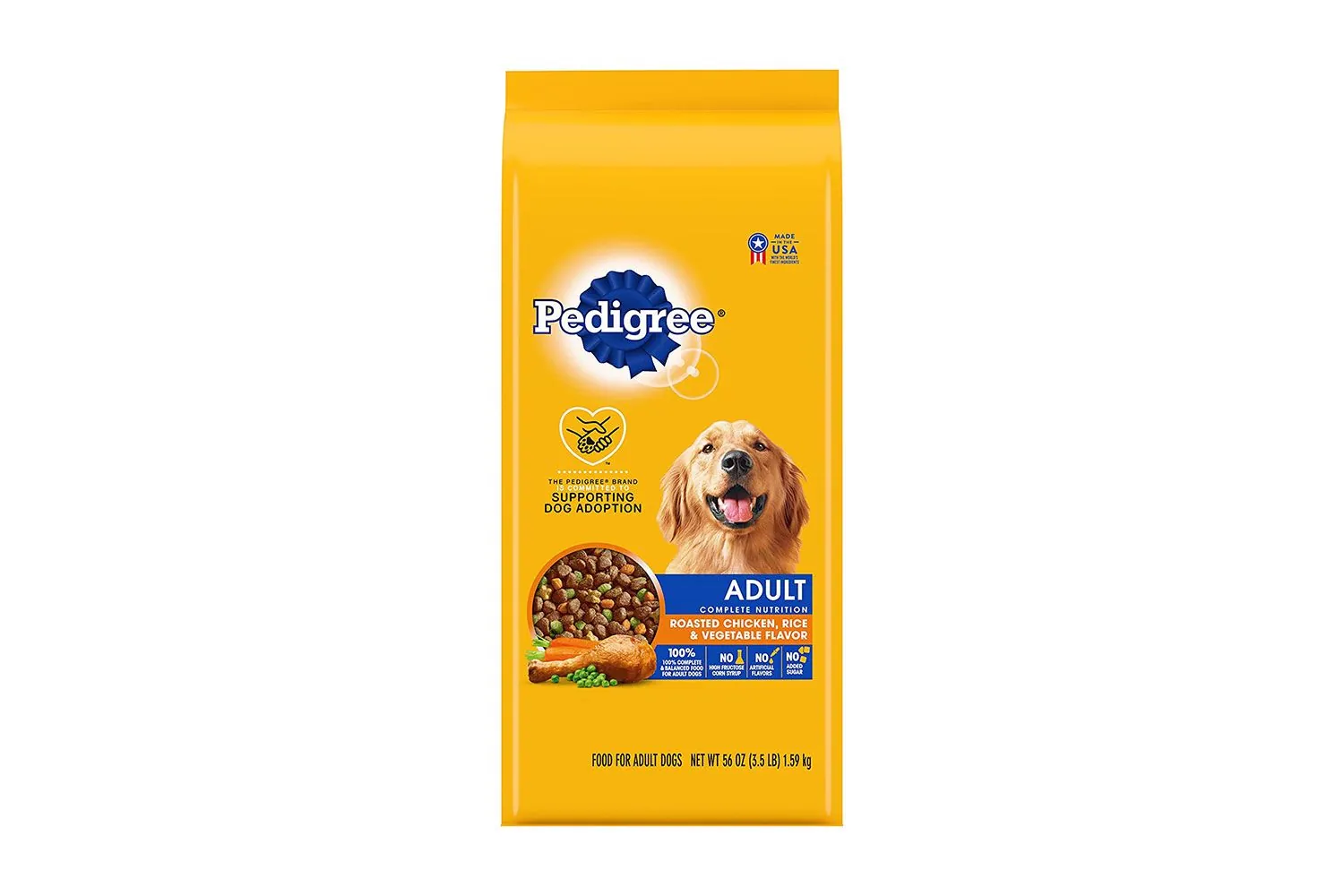 An energetic border collie running outdoors showing signs of adequate dog nutrition.