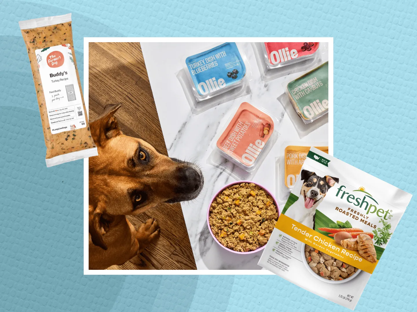 Fresh dog food showing identifiable ingredients like meat and vegetables in a bowl.
