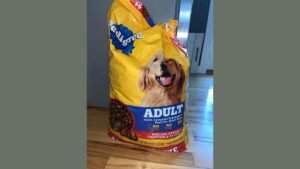 A giant bag of dog food towers over smaller bags in a warehouse.