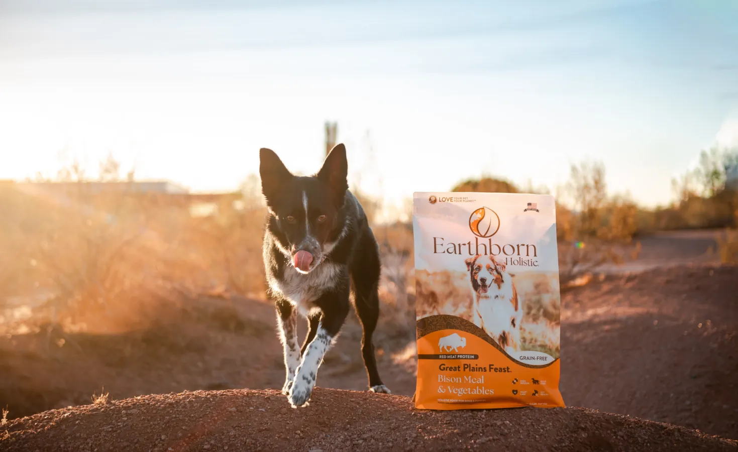 Hands checking the nutritional information on a bag of dog food.