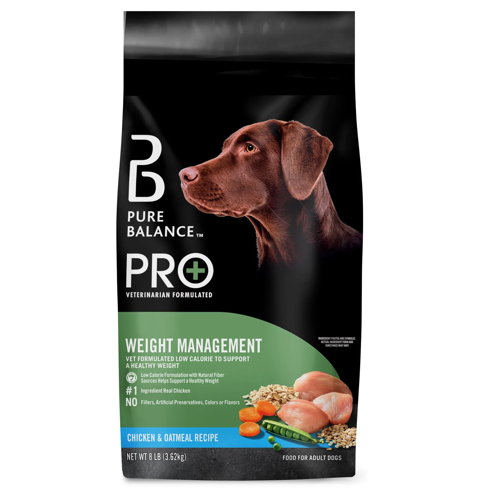 A healthy dog with a shiny coat showing signs of good nutrition.
