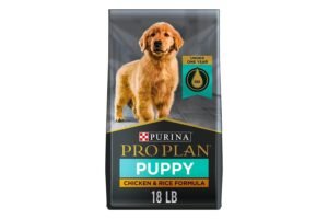 Healthy golden retriever sitting beside premium dog food bag in sunlit kitchen