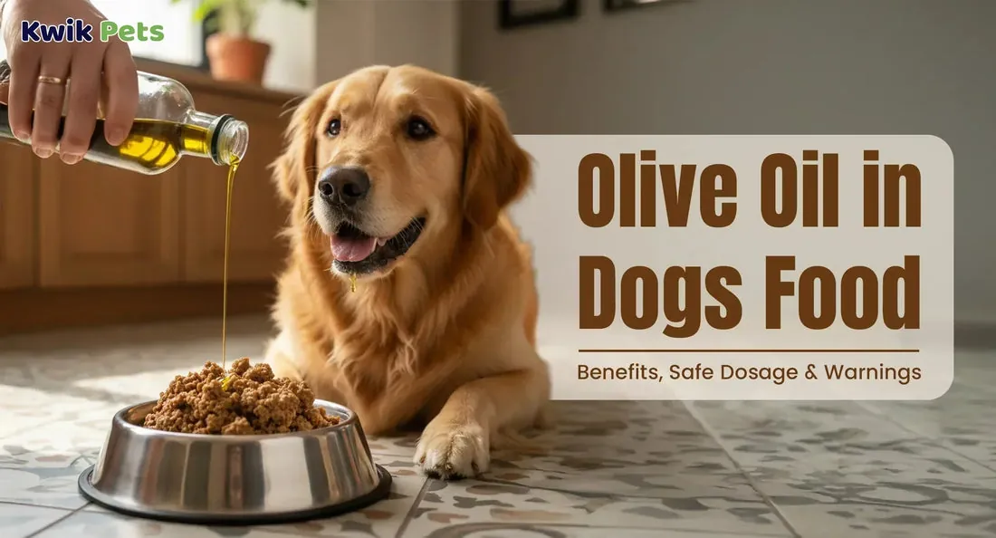 Open wet dog food can on countertop suggesting spoilage risk