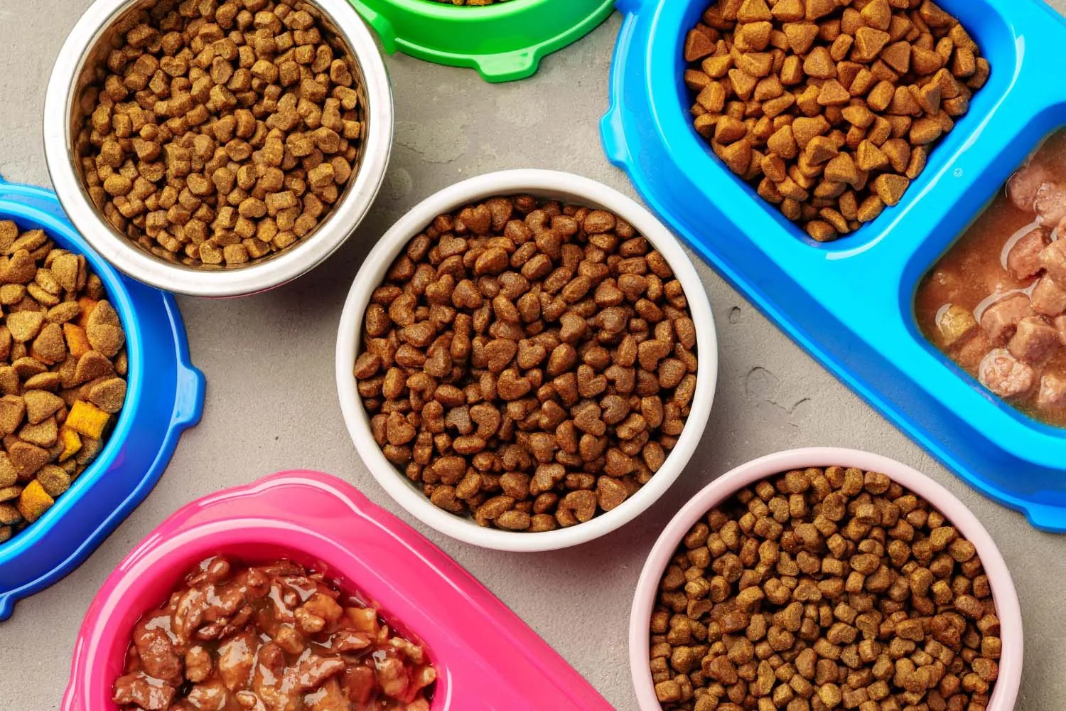 A person measuring out the correct portion of dog food for their pet.