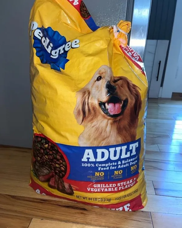 Sealed storage bin containing kibble with desiccant pack