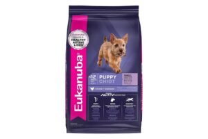 A small dog waits patiently by a bowl of premium nutritious dog food.