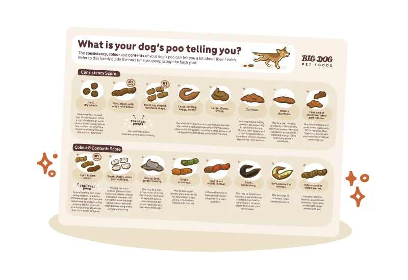 Two large dogs resting near separate bowls containing different portions of dry kibble.
